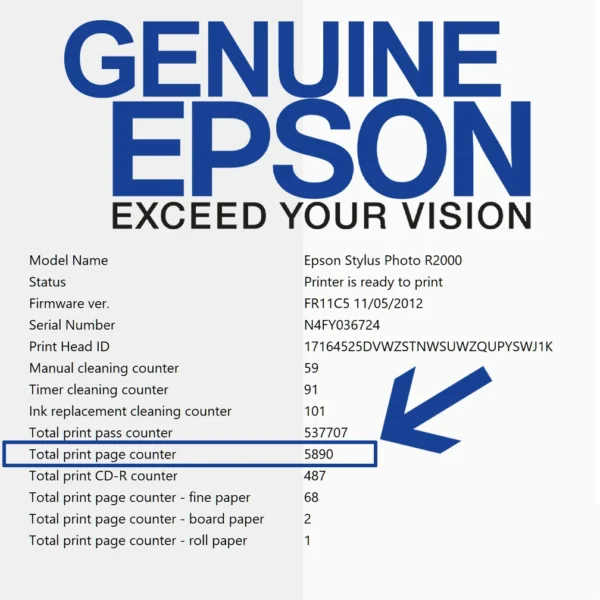 epson stylus photo r2000 printhead status